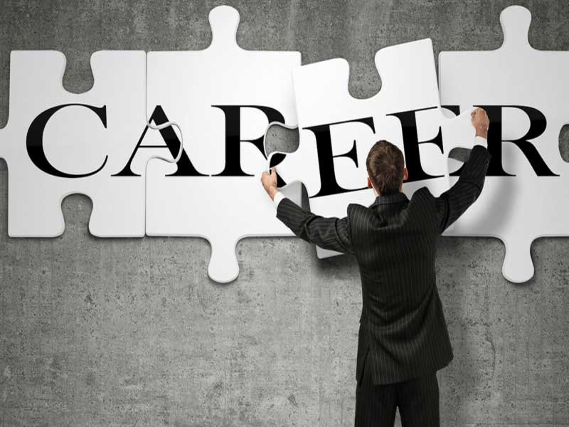 Career