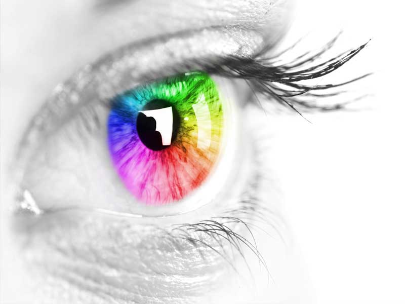 Vision
